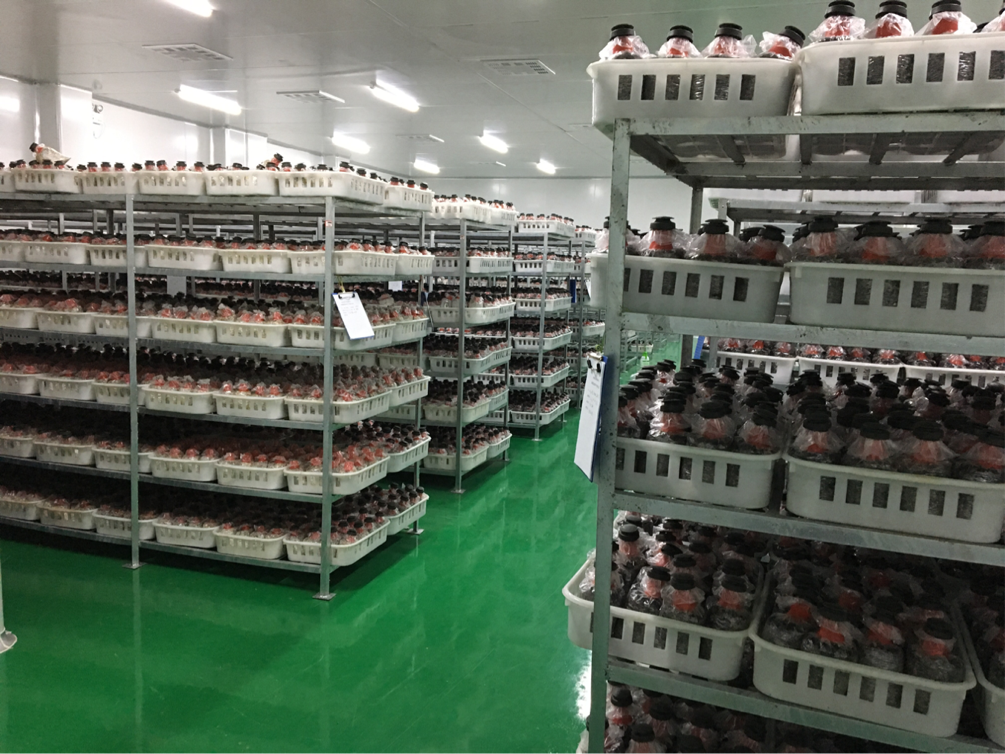 糖果派对 - 更优质的游戏运营商官网