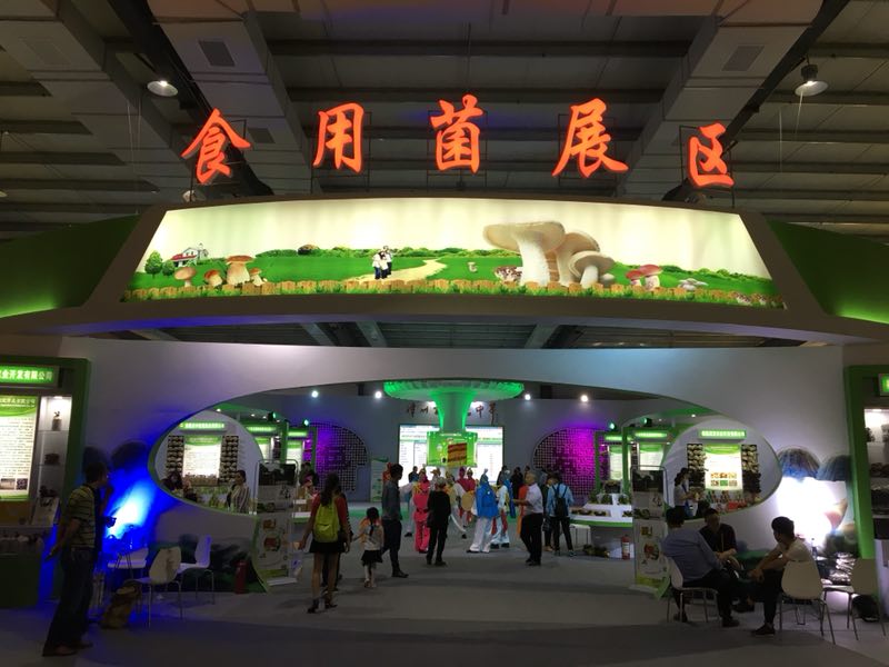 糖果派对 - 更优质的游戏运营商官网