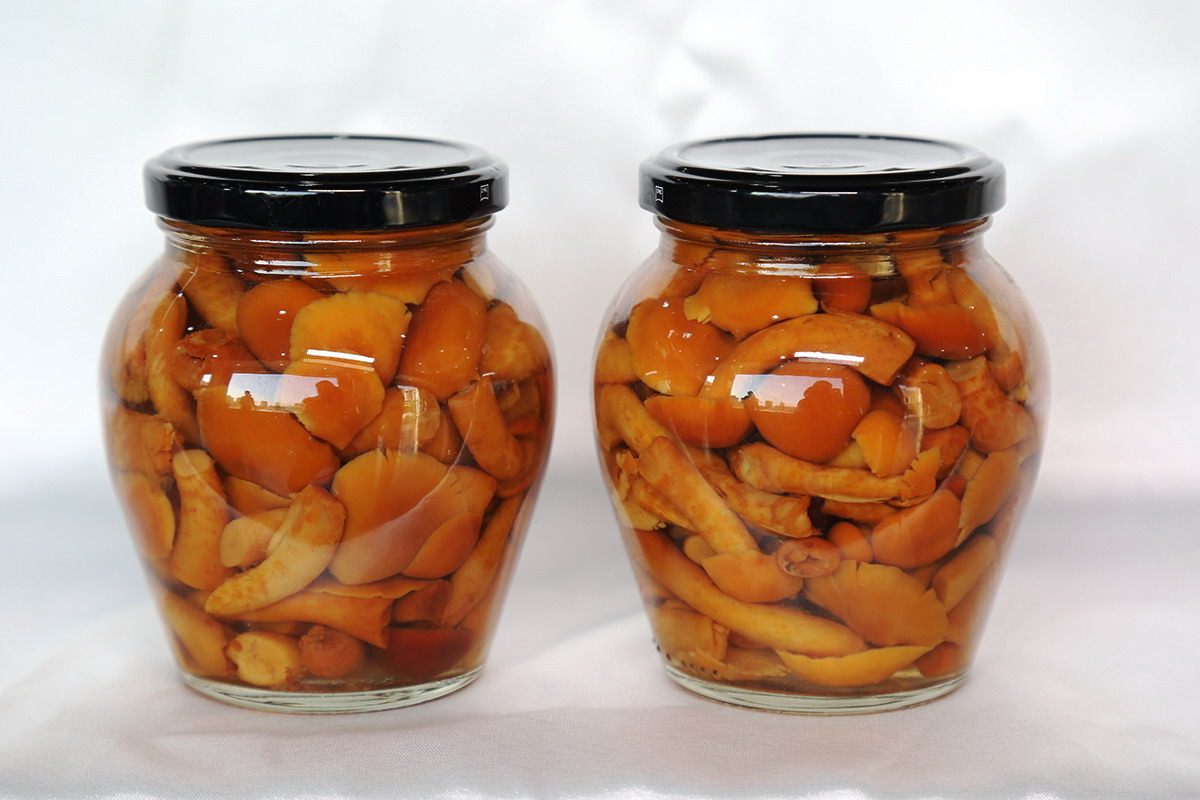 糖果派对 - 更优质的游戏运营商官网