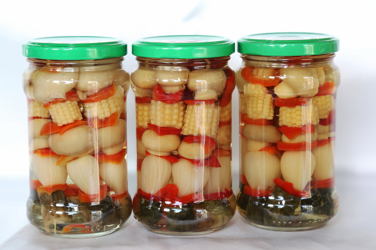 糖果派对 - 更优质的游戏运营商官网