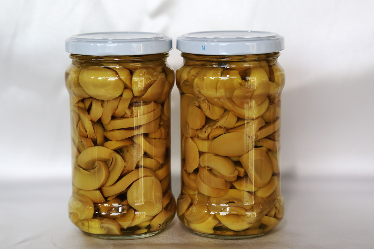 糖果派对 - 更优质的游戏运营商官网