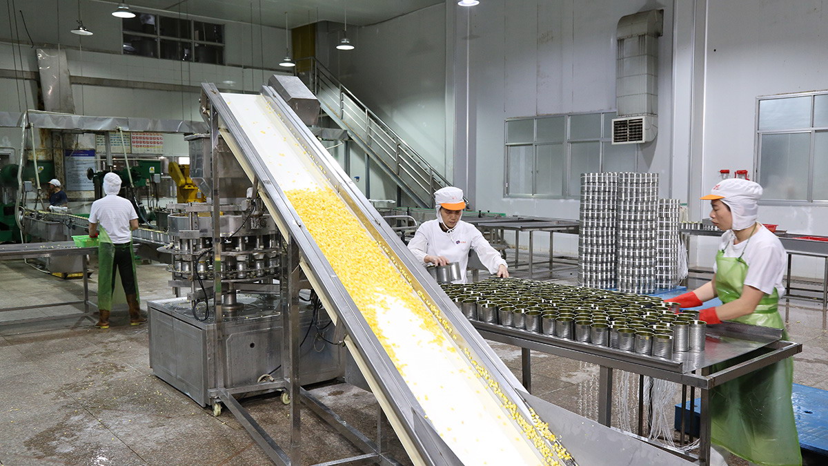 糖果派对 - 更优质的游戏运营商官网