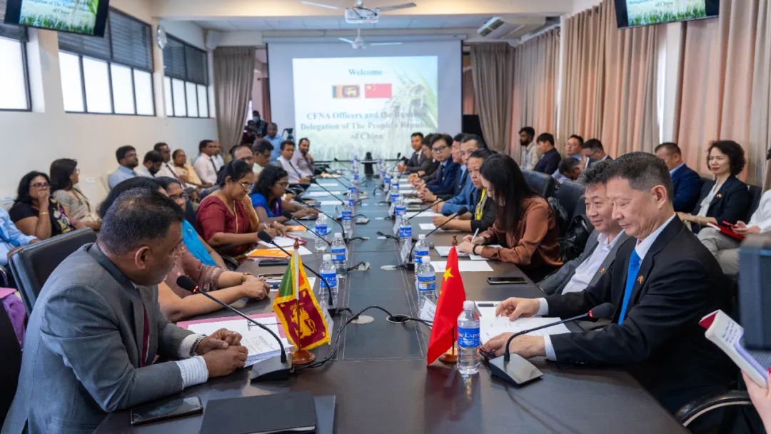 糖果派对 - 更优质的游戏运营商官网