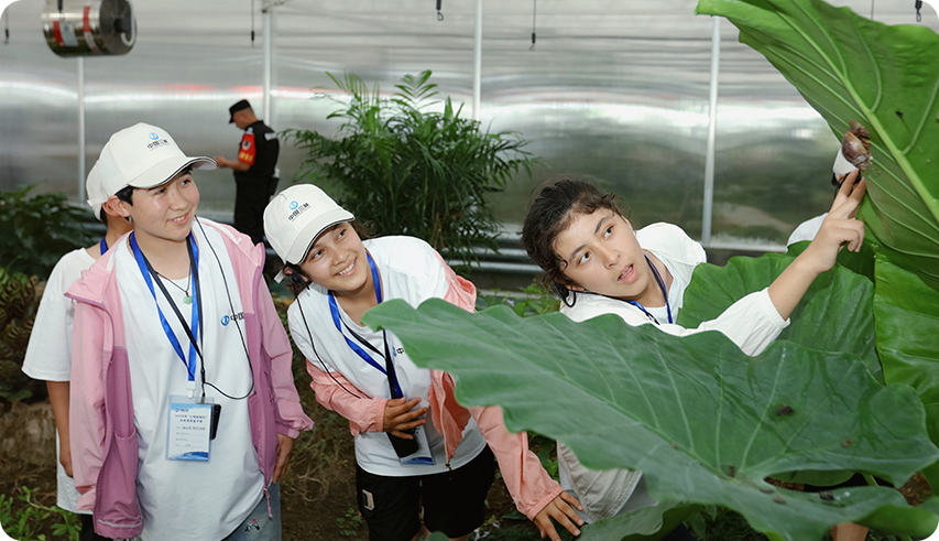 伟易博(中国区)官方网站