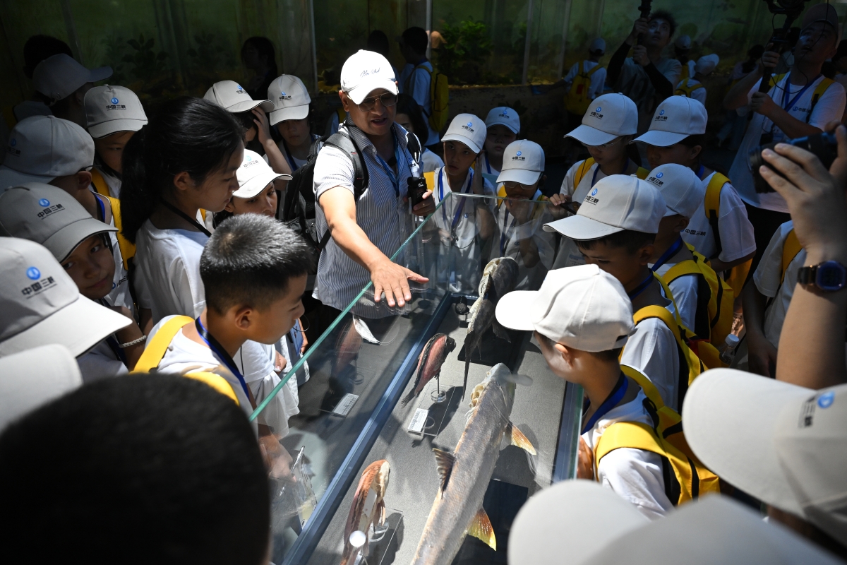 伟易博(中国区)官方网站