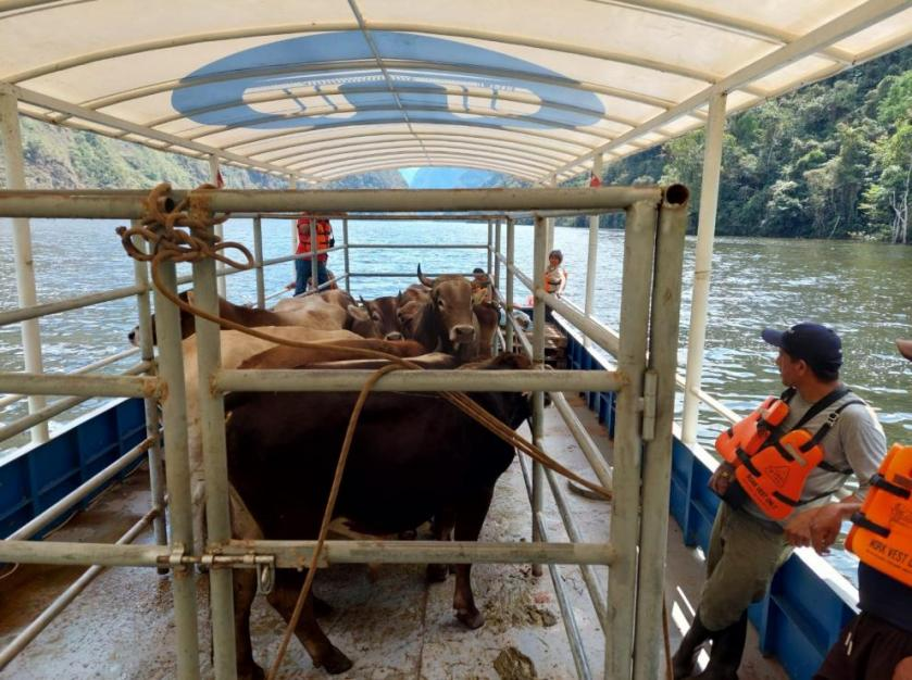 伟易博(中国区)官方网站