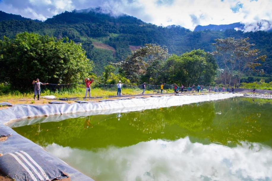 伟易博(中国区)官方网站