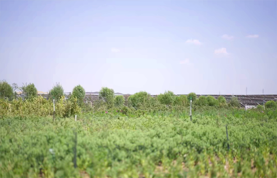 伟易博(中国区)官方网站